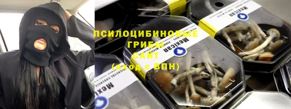 стаф Балахна