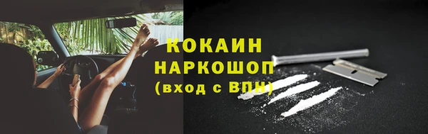 стаф Балахна