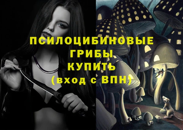стаф Балахна