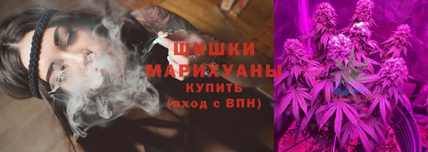 стаф Балахна