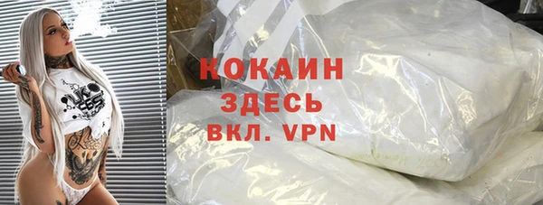 стаф Балахна